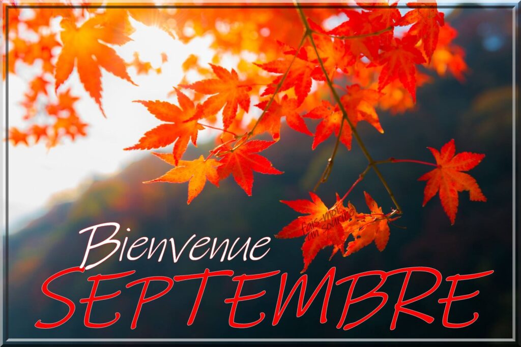 🎒📒Ce qui change au 1er septembre 🍂
